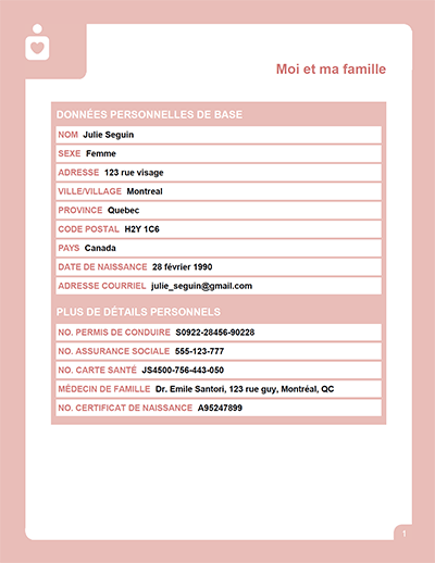 Exemple CasierdeVie page 2